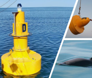 Las Ayudas a la navegación de Sealite señalan y limitan el área de protección de una especie en peligro de extinción.